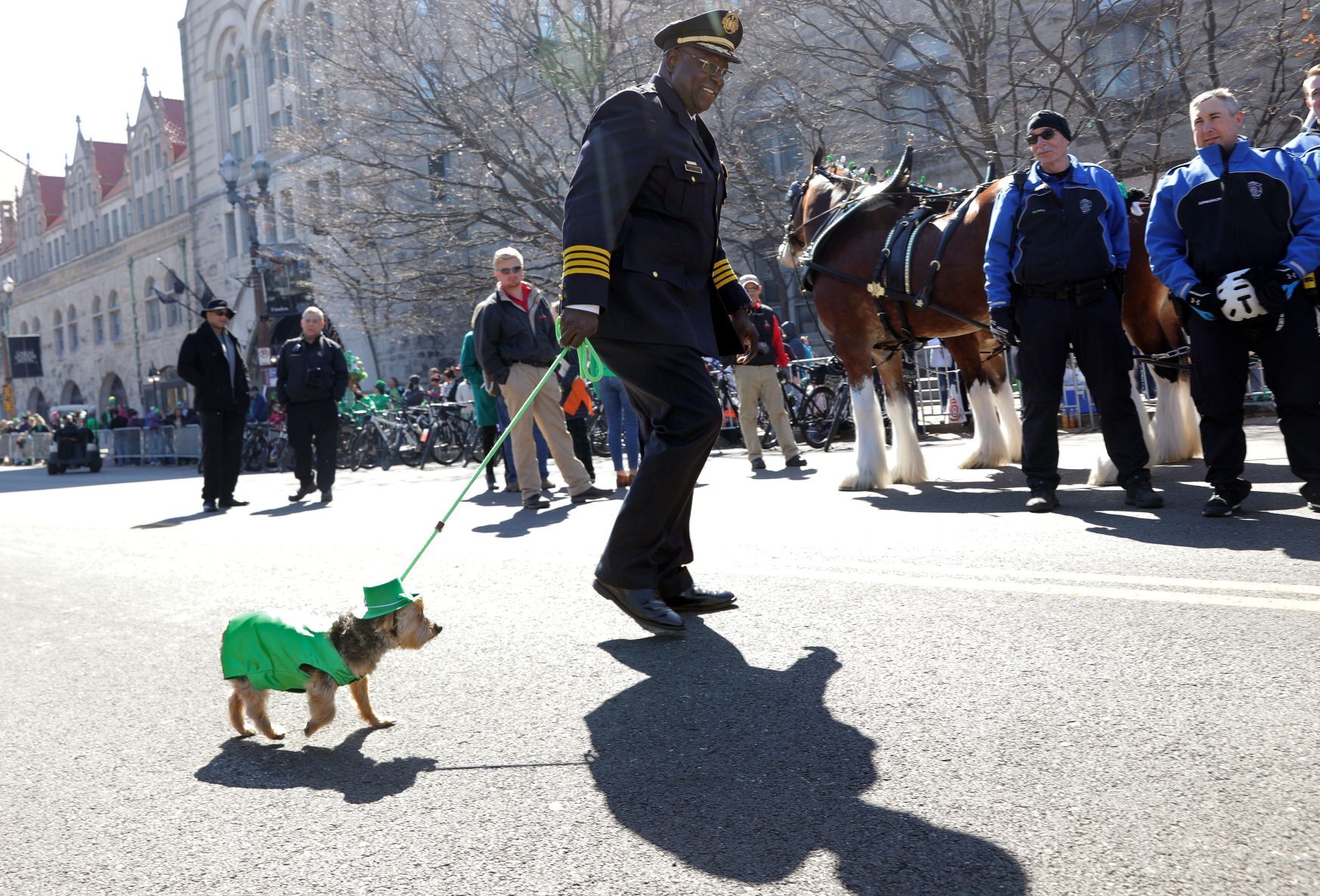 50th Annual St. Patrick's Day parade